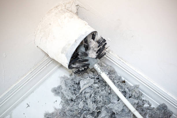 Best Air Duct Cleaning Company Near Me  in Adelino, NM